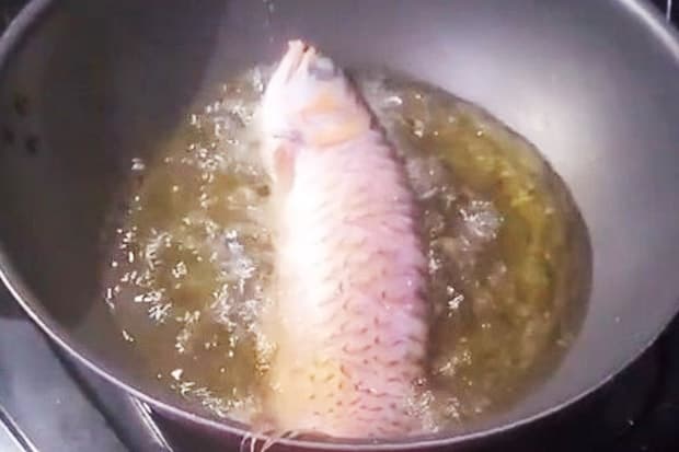 astaga_kesal_akuarium_tak_dibersihkan_seorang_istri_goreng_ikan_arwana_kesayangan_suami