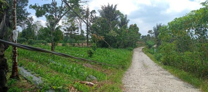 awas_ada_kabel_listrik_sentuh_aspal_di_kelurahan_bintang_hulu_sidikalang