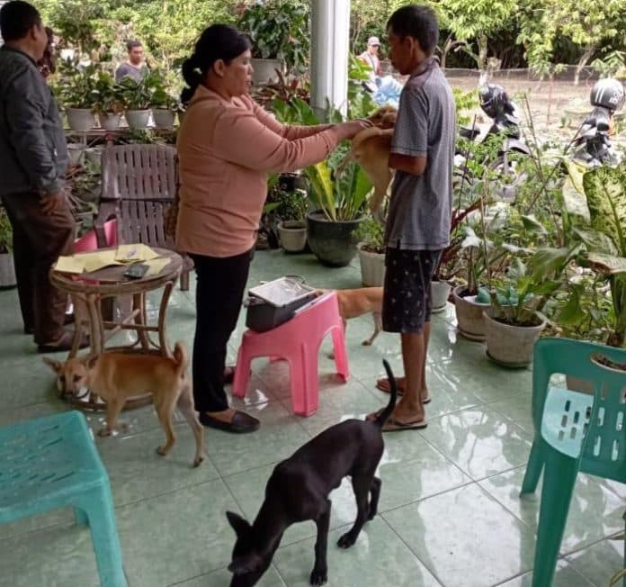 awasi_hewan_peliharaan_dkpp_siantar_keluarkan_5_himbauan_terkait_rabies