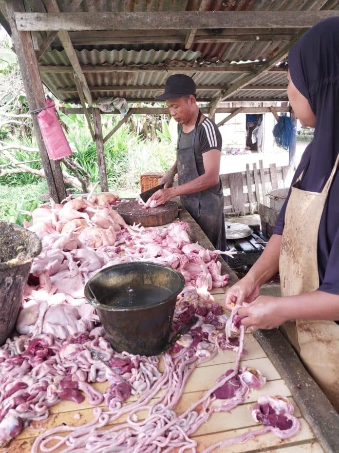 ayam_potong_di_deli_serdang_terus_merangkak_naik