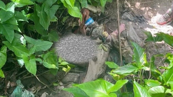 balita_di_simalungun_ditemukan_meninggal_dunia_kapolsek_di_belakang_rumahnya_ada_sungai