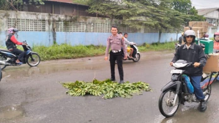 balita_remuk_tergilas_truk_fuso_orang_tuanya_selamat