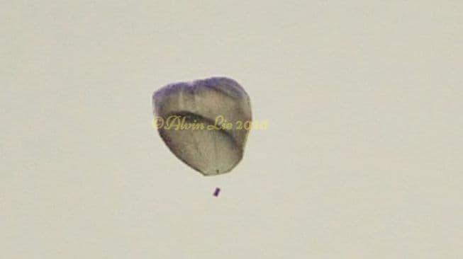 balon_udara_raksasa_jatuh_di_bandara_semarang