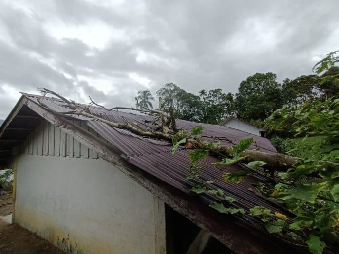 bangunan_sekolah_pandiangan_lae_parira_dairi_rusak_parah_dihantam_pohon_tumbang