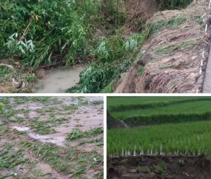 banjir_di_tigabolon_simalungun_masyarakat_bakal_gelar_aksi_dan_tuntut_tanggung_jawab_ptpn_iv