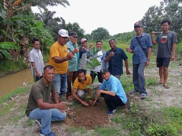 bantaran_sungai_ular_di_pantai_labu_ditanami_pohon_aren