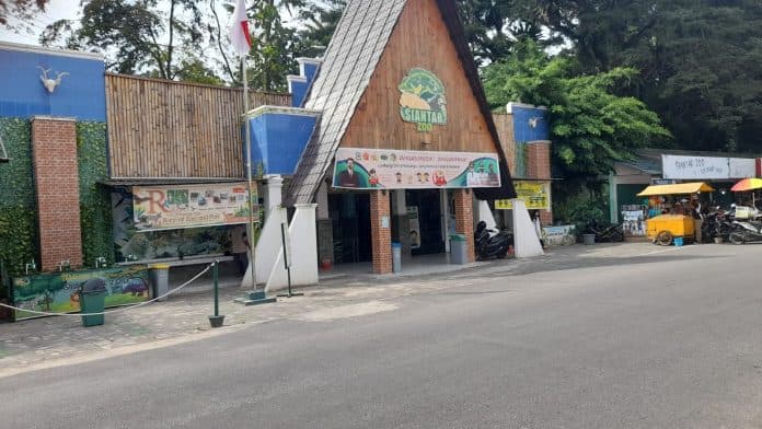 banyak_hewan_stres_masyarakat_diminta_tidak_arahkan_petasan_di_kawasan_taman_hewan