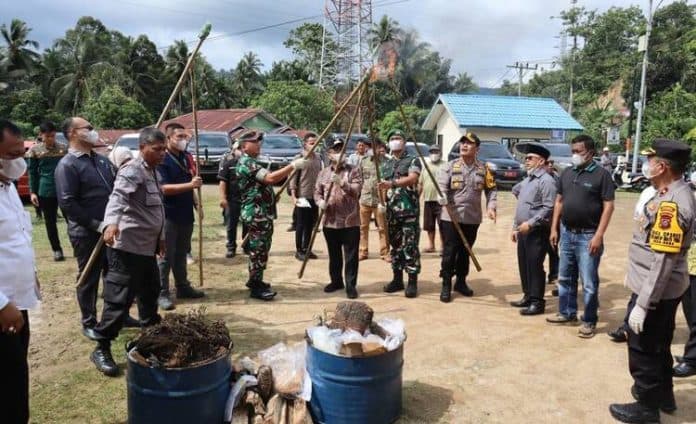 barbut_narkotika_tangkapan_polres_padangsidimpuan_selama_3_bulan_dimusnahkan