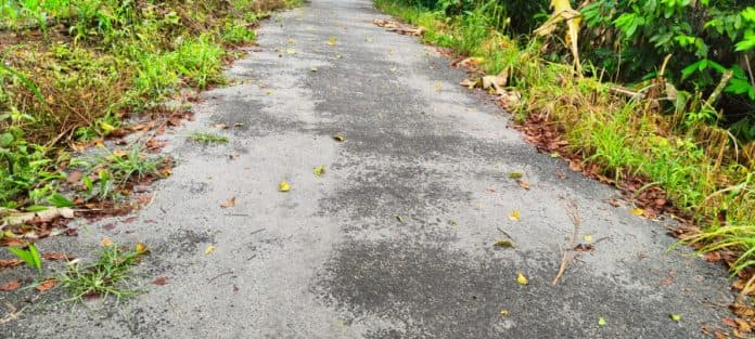 baru_selesai_dikerjakan_proyek_pengaspalan_dd_lumban_toruan_dairi_sudah_ditumbuhi_rumput