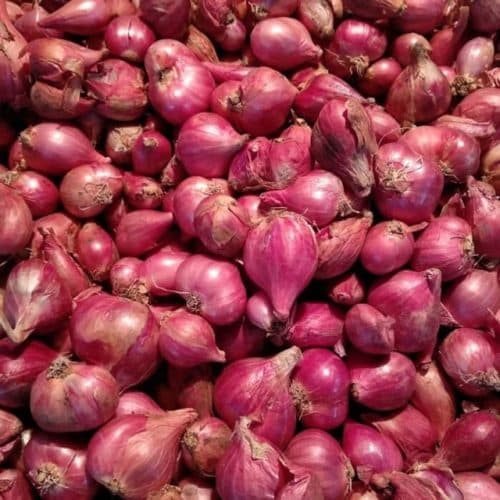 bawang_merah_mahal_pemerintah_harus_lakukan_upaya_ini