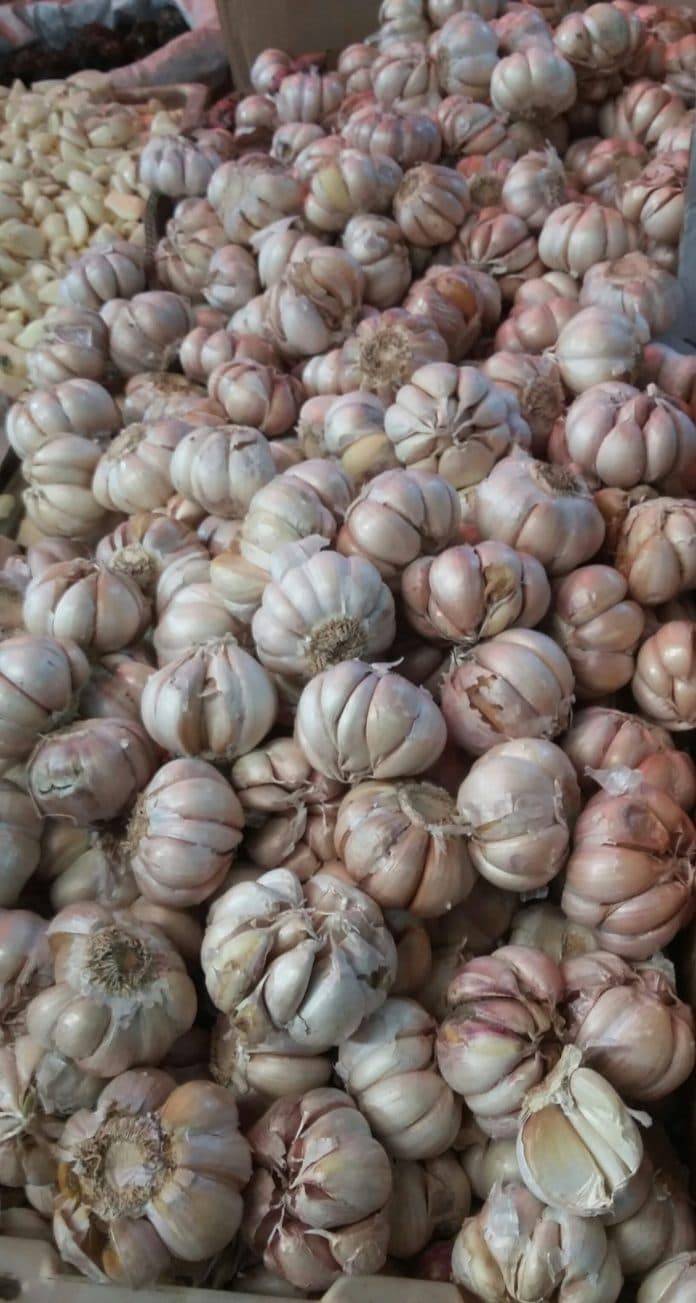 bawang_putih_sulit_didapat_bawang_bubuk_jadi_alternatif