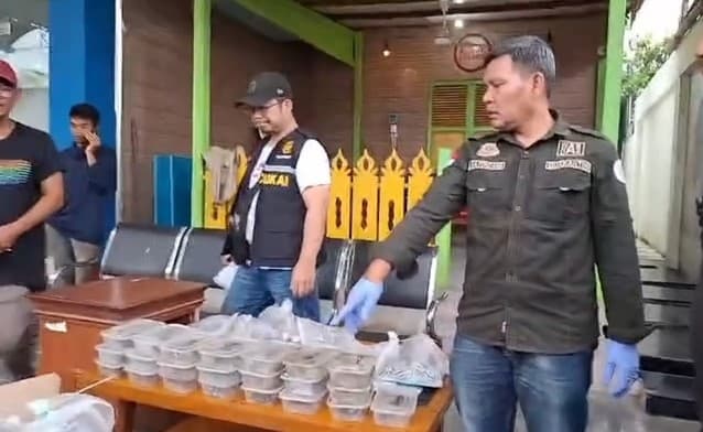 bea_cukai_gagalkan_upaya_penyelundupan_reptil_dilindungi_ke_malaysia