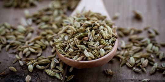 beragam_fungsi_adas_mulai_dari_obat_hingga_bumbu_masakan