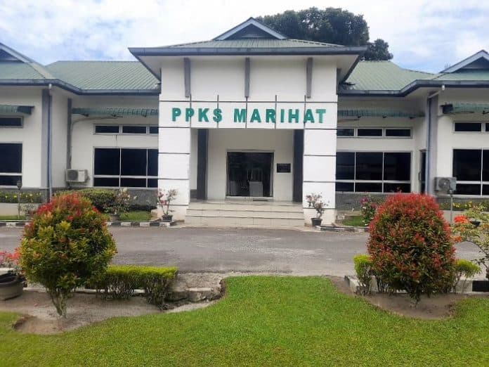 berdiri_sejak_1964_ppks_marihat_jadi_pembibitan_sawit_terbesar_di_indonesia