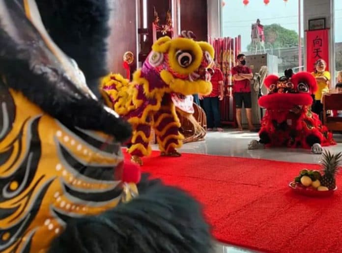 berkah_imlek_omzet_penyewa_barongsai_di_medan_naik_hingga_80_persen