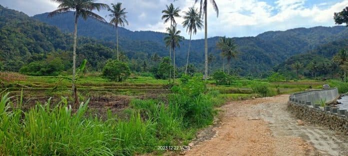 berkat_pt_dpm_warga_kembali_dapat_mengelola_lahan_sawah