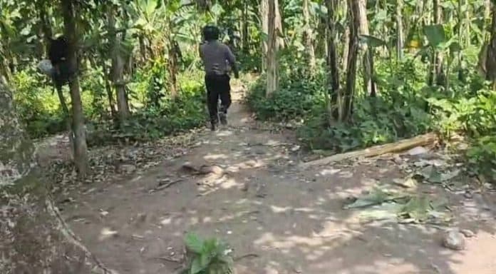 bhabinkamtibmas_kejar_kejaran_dengan_pecandu_sabu_di_medan_sunggal