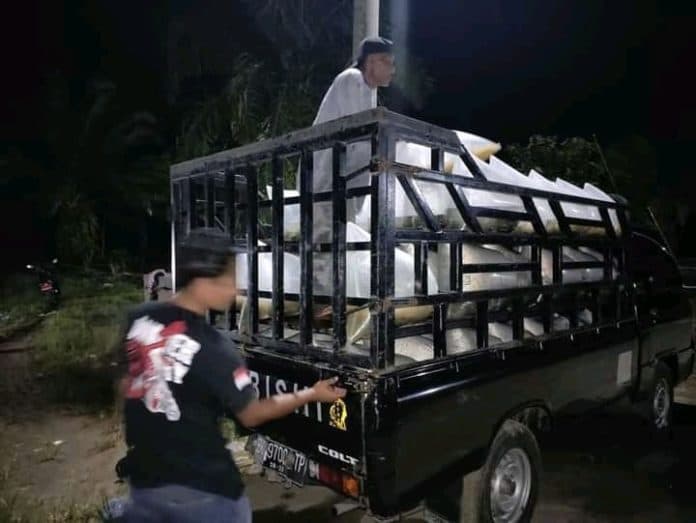 bibit_ikan_nila_untuk_keramba_danau_toba_dipasok_dari_usaha_perikanan_rakyat_batu_bara