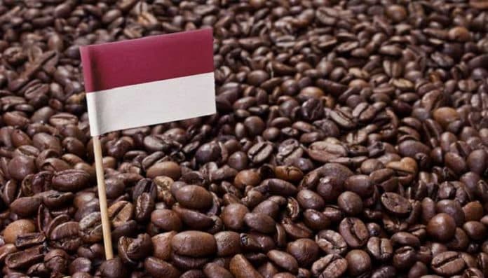 biji_kopi_indonesia_lebih_mahal_dari_impor_ini_alasannya