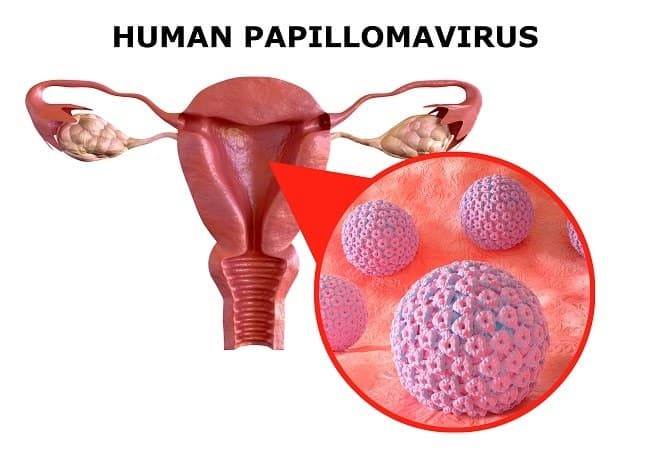bio_farma_edukasi_bahaya_dan_pencegahan_kanker_serviks