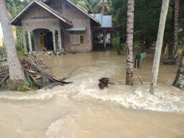 bireuen_aceh_dilanda_banjir_19_desa_terendam_dan_dua_warga_tewas