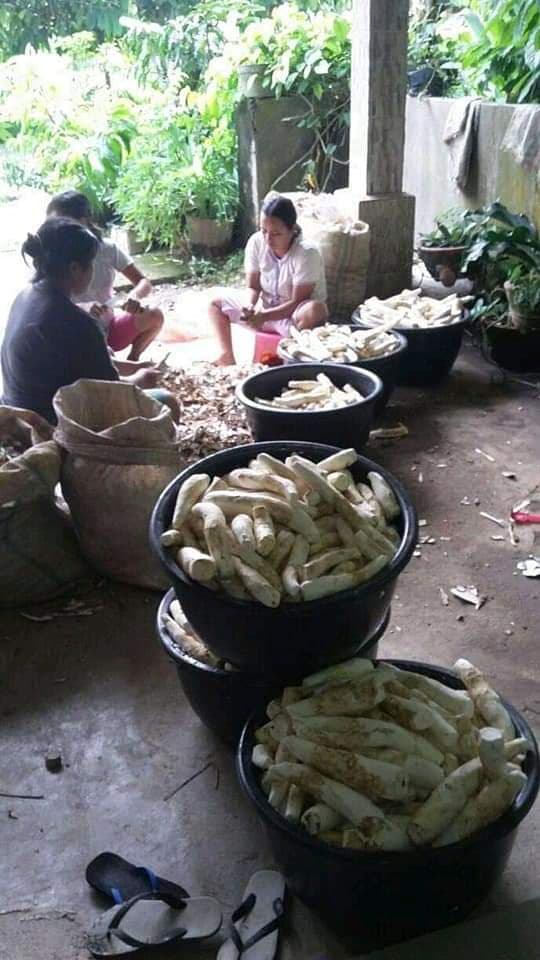 bisnis_tape_singkong_bu_sam_untungnya_menggiurkan