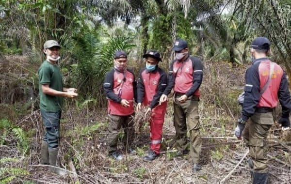 bksda_sumut_bersama_mmp_patroli_bersama_di_suaka_alam_lubuk_raya_tapsel