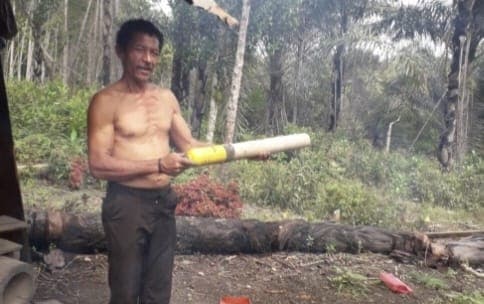bksda_sumut_imbau_orangtua_dampingi_anaknya_ke_sekolah_pasca_kemunculan_harimau_sumatera_di_desa_sidaboar_tapsel