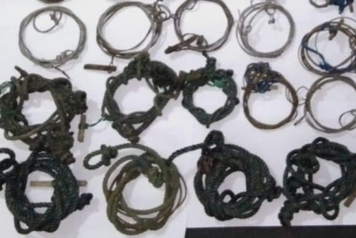 bksda_sumut_temukan_ratusan_jerat_yang_membahayakan_satwa