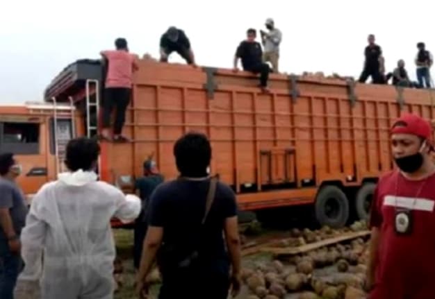 bnn_temukan_47_kg_sabu_dari_truk_pengangkut_buah_kelapa