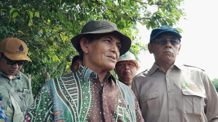 brgm_ri_targetkan_373_hektar_lahan_mangrove_di_sumut_direhabilitasi