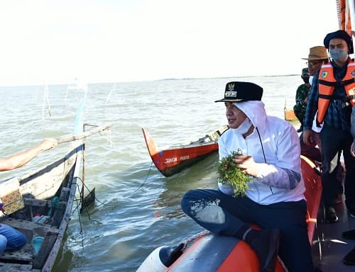bupati_batu_bara_budidaya_rumput_laut_miliki_prospek_cerah