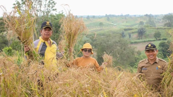 bupati_radiapoh_siapkan_skema_bantu_petani_simalungun