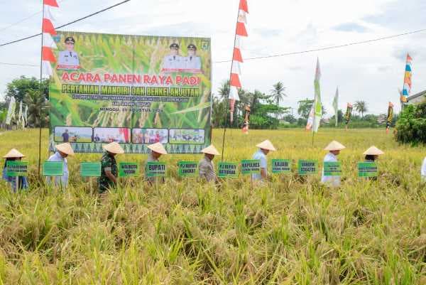 bupati_sergai_ajak_daerah_bersinergi_capai_ketahanan_pangan
