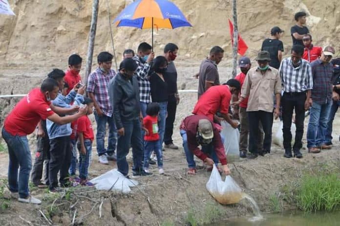 bupati_taput_tabur_benih_ikan_di_kolam_barat_tram