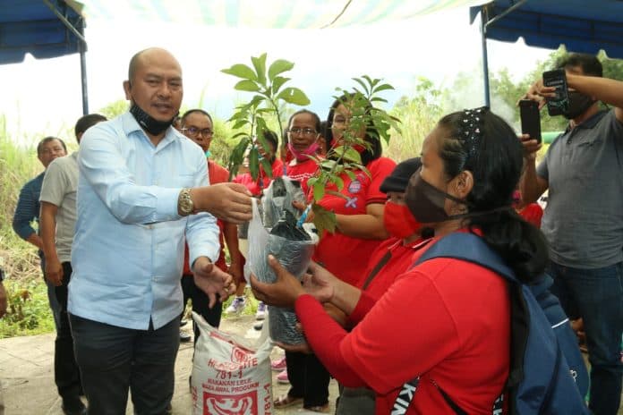 bupati_taput_tinjau_pembukaan_jalan_usaha_tani_di_pahae_jae