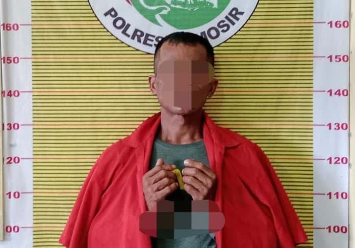 buruh_batu_bata_asal_medan_labuhan_nyambi_jual_sabu_di_samosir
