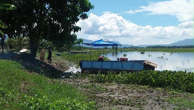 bws_sumut_ii_kucurkan_rp1_miliar_untuk_bersihkan_eceng_gondok_di_tepi_danau_toba_balige