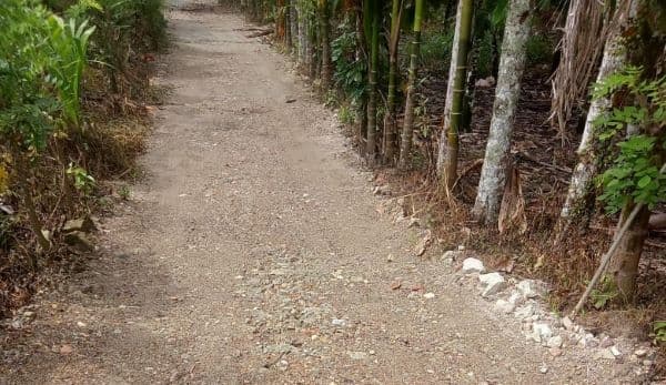 camat_perintahkan_kades_perbaikan_jalan_usaha_tani_di_tigalingga_gunakan_material_layak