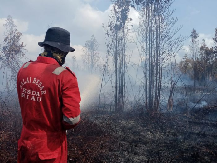 cegah_kebakaran_hutan_pemerintah_siapkan_15_pesawat_untuk_operasi_modifikasi_cuaca