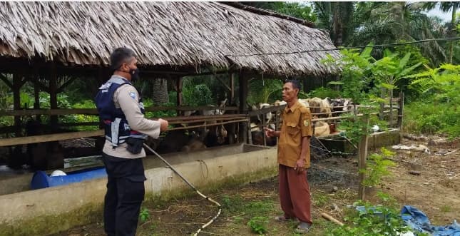 cegah_penyebaran_pmk_polisi_edukasi_peternak_di_desa_bandar_tengah