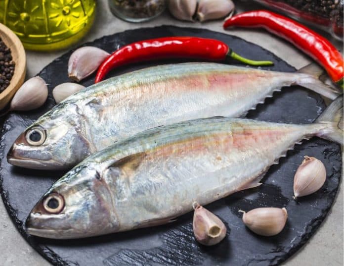 cegah_stunting_dinas_kelautan_dan_perikanan_kampanyekan_gemar_makan_ikan