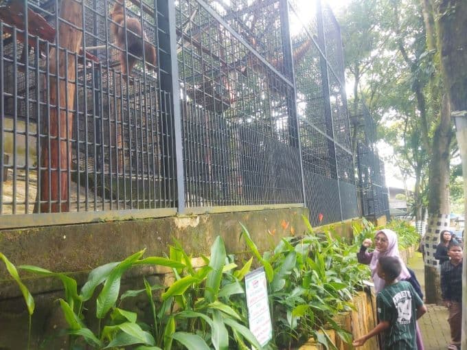 central_park_zoo_wisata_edukasi_keluarga_lengkap_di_tengah_hutan_deli_serdang
