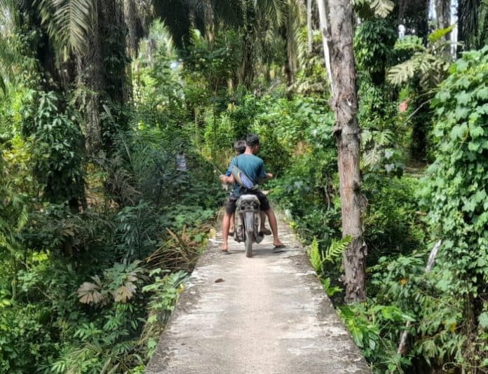 cerita_seram_jembatan_talang_tanah_jawa_peninggalan_belanda_hingga_menelan_korban