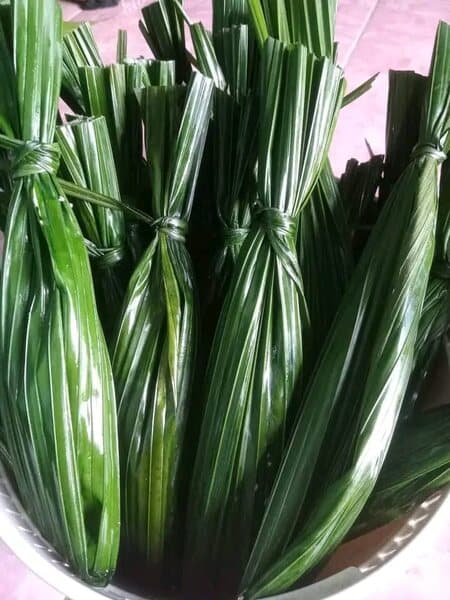 cimpa_kuliner_khas_karo_pererat_tali_persahabatan_dan_kekeluargaan