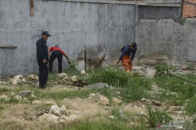 ciri_ciri_ular_berbisa_menurut_ahli_reptil_dari_itb