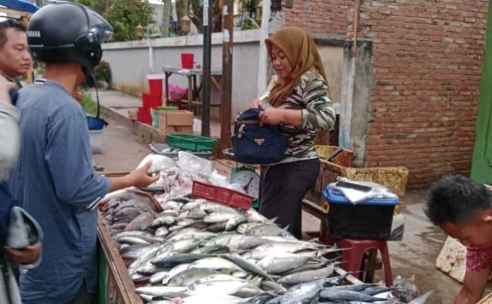 cuaca_buruk_harga_ikan_di_pasar_tradisional_lubuk_pakam_melonjak_tajam