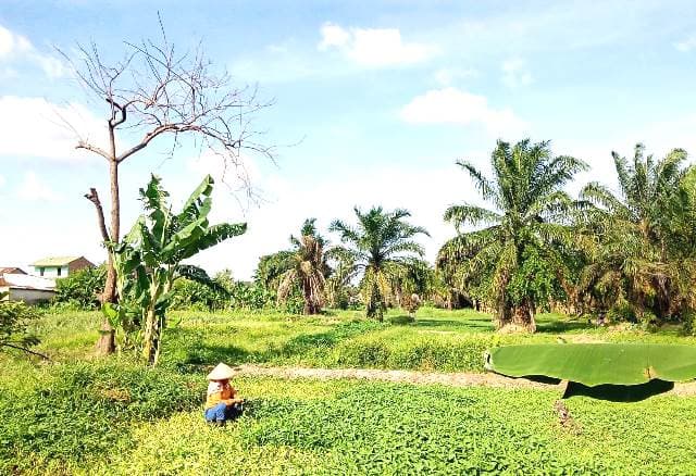 cuaca_di_kota_medan_dianggap_cukup_panas_bmkg_itu_kondisi_normal