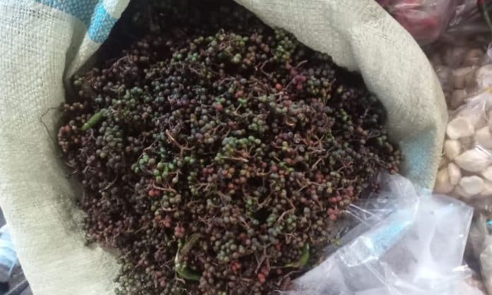 cuaca_tak_stabil_harga_andaliman_di_toba_tembus_rp300000kg
