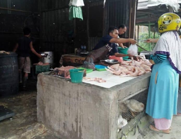 daging_ayam_naik_17_persen_pengamat_ekonomi_curah_hujan_tinggi_picu_kenaikan_harga_pangan